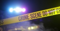 1 killed, 2 hurt in Springfield shooting