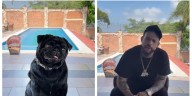 ¿Se está burlando la familia Aguilar de Emiliano? El perro de la familia responde