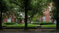 Can I legally trim my neighbor's tree? What Kentucky law says