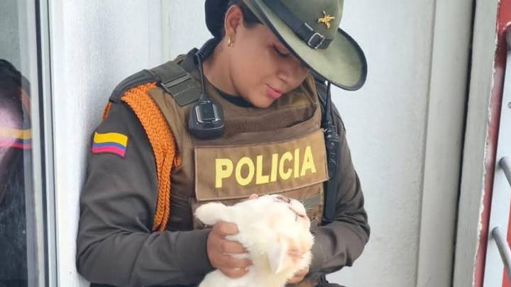 Rescatan a perrito amarrado en un balcón en Yopal: indignación ciudadana