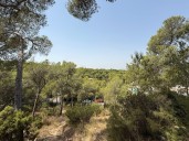 Torrent blinda el Vedat frente al calor extremo