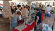 El PSOE propone incluir "la plaza" dominical en el programa Mercados del Paraíso Natural del Principado de Asturias