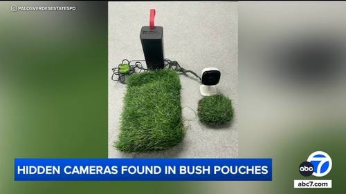 Hidden cameras found in bush pouches in Palos Verdes Estates