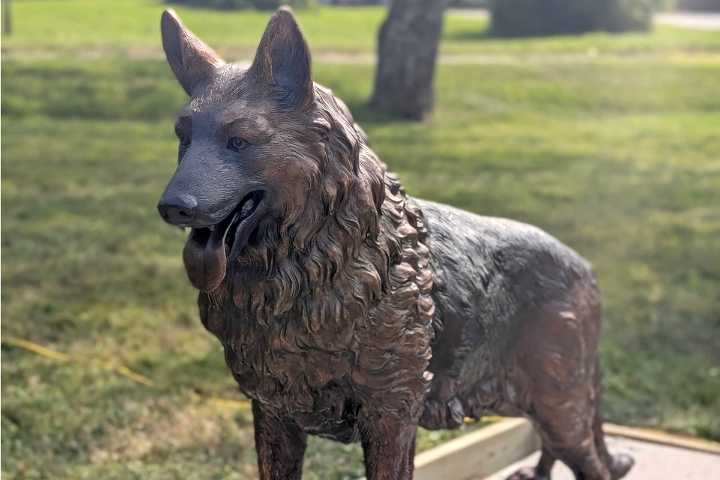 An Aroostook monument will honor Loring’s guard dogs