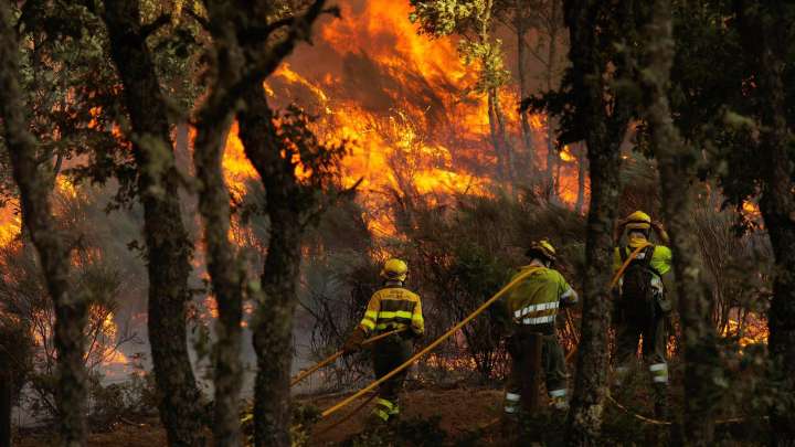Domingo negro en Castilla y León: 10 incendios de nivel 2 mantienen en vilo a León, Zamora y Salamanca