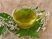 Cómo consumir la valeriana para reducir la ansiedad y dormir mejor por la noche