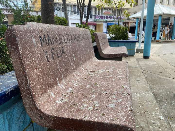 Plaza Padilla, entre la migración de aves y la falta de limpieza