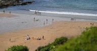 Woman describes 'scary' moment swimmer began to drown in front of her on Plymouth beach