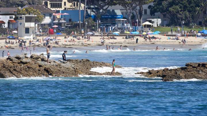 Labor Day weekend beachgoers may face fecal contamination