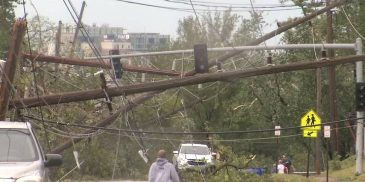How many trees did Iowa lose from the 2020 derecho?