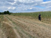Poland accuses Russia of 'provocation' after drone crash on the border