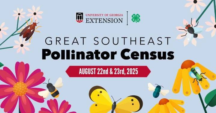 Great Southeast Pollinator Census set for Aug. 22
