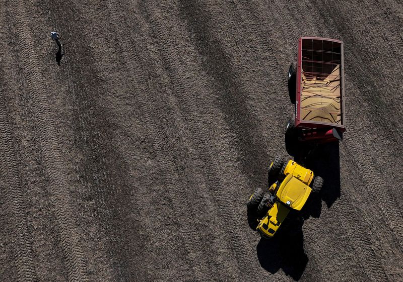 China boosts soybean buys from Argentina, Uruguay amid US trade war, sources say
