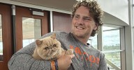 Pudge The Cat has everyone purring on the Bowling Green football team