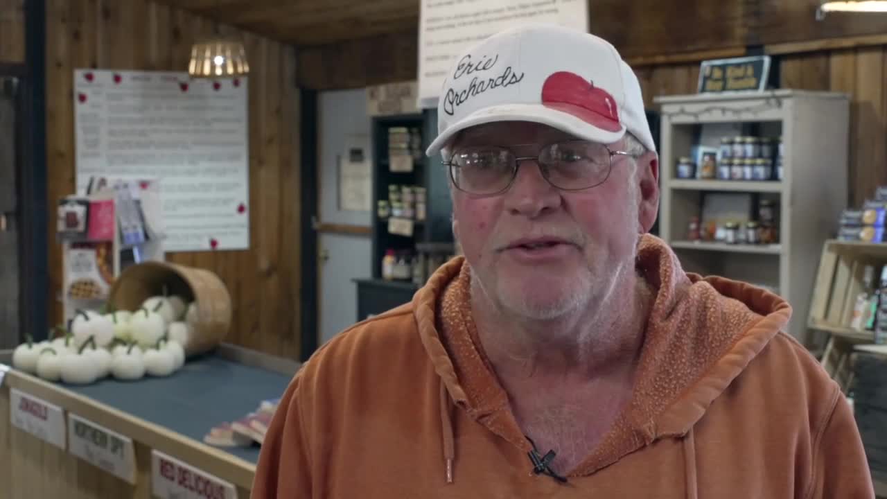 Metro Detroit cider mills gear up for a busy fall season with a big apple crop