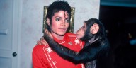 Qué pasó con Bubbles, el chimpancé de Michael Jackson