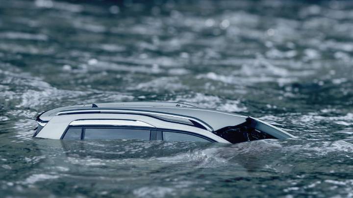 Good Samaritans Jump Into Water, Pull Ride-Share Driver From Sinking Car