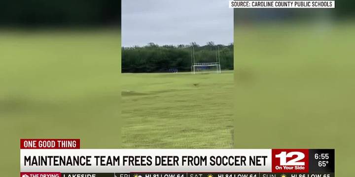 One Good Thing: Maintenance team frees deer from soccer net