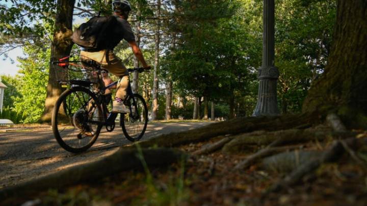 Neighbors temporarily halt Cambridge path restoration project