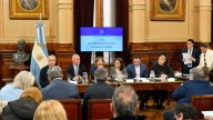 Senado: la oposición logró dictamen favorable en la emergencia en pediatría