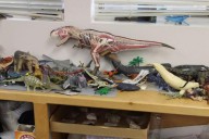 Casper Saturday Club returns with ‘Geologic Time and the History of Life’