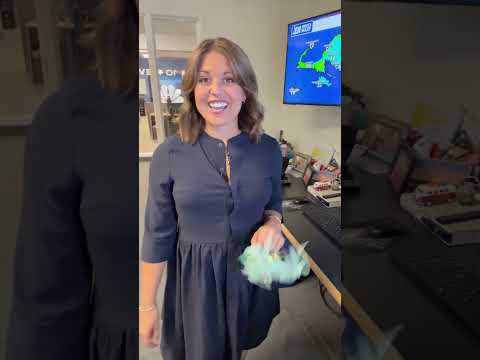What a no contest plea means for assistant attorney general who went viral for her arrest.