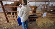 El Paso County Fair attendance, revenue exceed goals