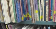 Library on the line: Dallas budget proposal sparks community concern