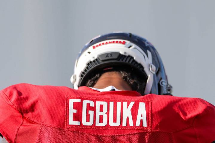 Developing fantasy football trends include De’Von Achane goal