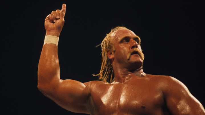 Former WWE Star Maven Says Hulk Hogan 'Didn't Live Up To Everyone's Hopes & Dreams'