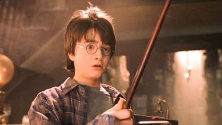‘It Still Keeps Me Up At Night,’ One Harry Potter Moment That Still Haunts Director Chris Columbus Years Later