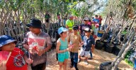 Clausuran con éxito el Taller de Verano Guardianes del Planeta en Nuevo Laredo