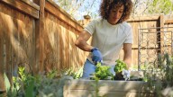 The Self-Seeding Herb That'll Practically Grow Itself Once Established In Your Garden