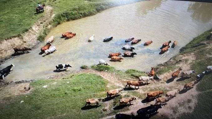 JEP abre incidente de desacato contra alcaldesa de Suan, Atlántico
