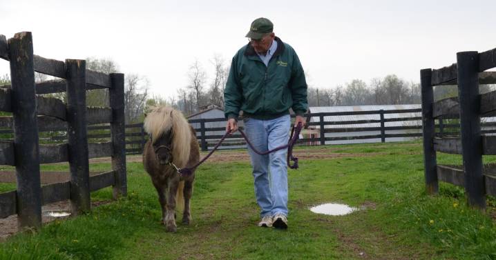 Old Friends farm mascot Little Silver Charm dies at estimated age of 38 to 40