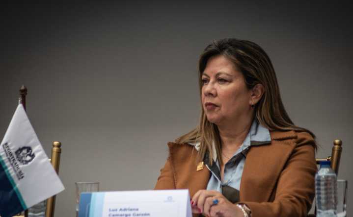 Procuraduría pide al Consejo de Estado mantener en el cargo a la fiscal Camargo