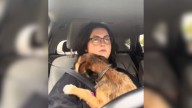 Tennessee Woman Comforts Dog With Heartbreaking Fear Of Car Rides After Being Left On The Roadside