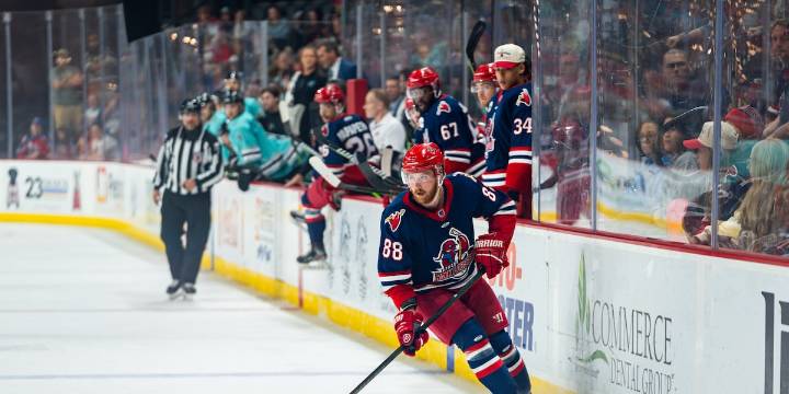 Pro hockey player who spent time with Athens Rock Lobsters dies at 25