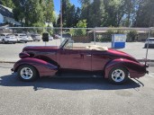 Classic Cars and Cats