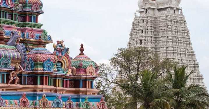 Stampede at political rally in southern India kills 36 including 8 children