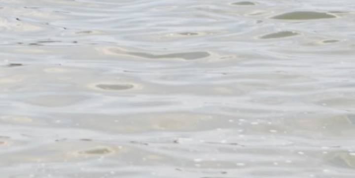 Judge invalidates $563,000 Ottawa County grant for lake’s restoration
