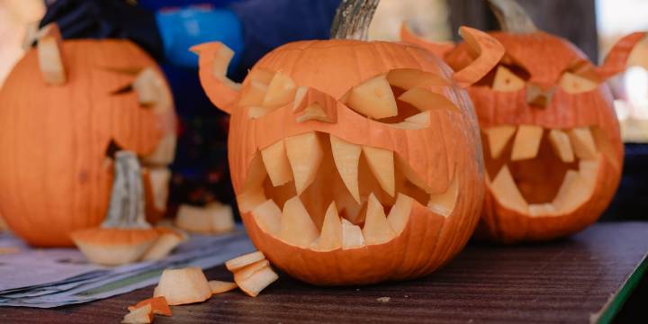 Museum of Appalachia to host annual Fall Heritage Days next month