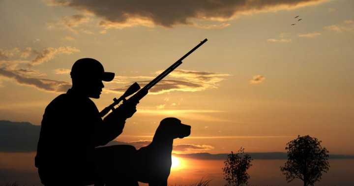 Louisiana to hold 2nd Amendment sales tax holiday this weekend