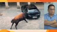 Los toros destrozan un coche mal aparcado en unos encierros: "No había ningún aviso y no sabía ni que había fiestas"