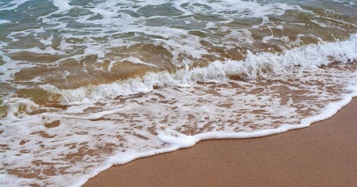 Warming seas threaten key phytoplankton species that fuels the food web, study finds