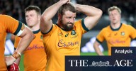 Bledisloe Cup 2025: The Wallabies only started playing after 20 minutes. By then, All Blacks were 20 points ahead