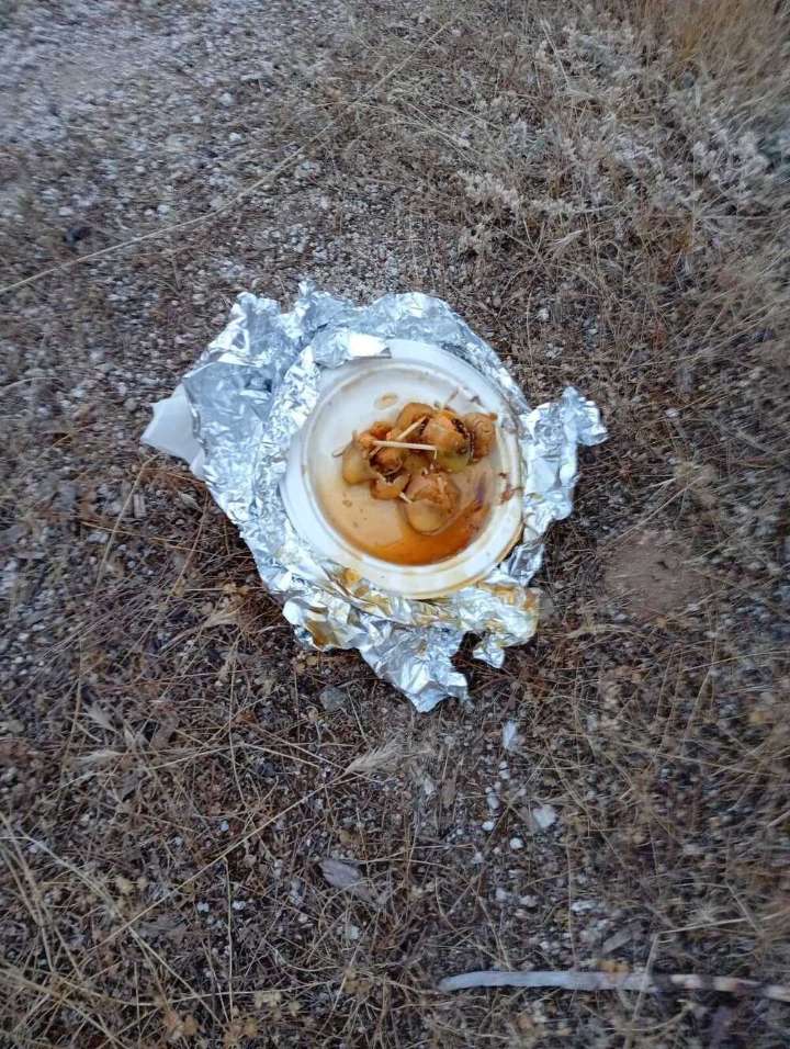 Denuncian cebos envenenados y con pinchos en Fuente del Moro