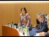 Diputada perredista vota en contra de la reforma que fortalece la militarización