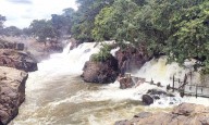 TN govt approves Rs 8 K-cr for Hogenakkal project
