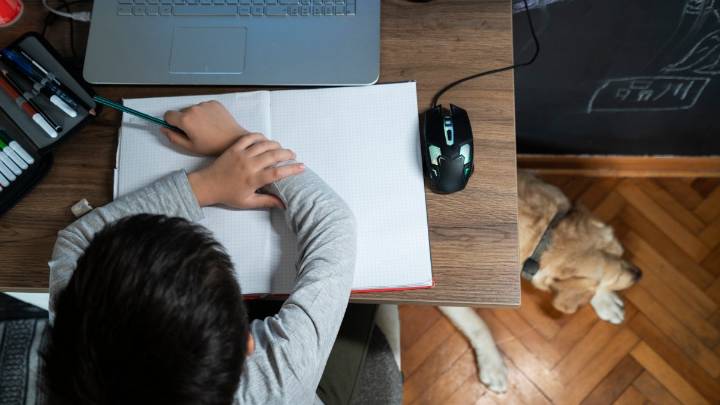 Growth in homeschooling brings safety concerns